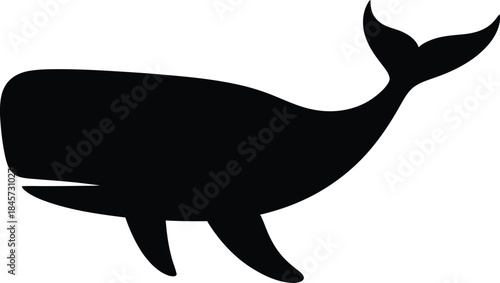 Humpback whale silhouette illustration isolated on transparent background