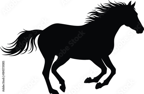 Silhouette of a horse isolated on transparent background