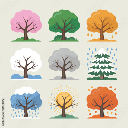 Seasonal tree icon collection, spring summer autumn winter trees symbols, nature cycle concept, colorful flat vector illustration design