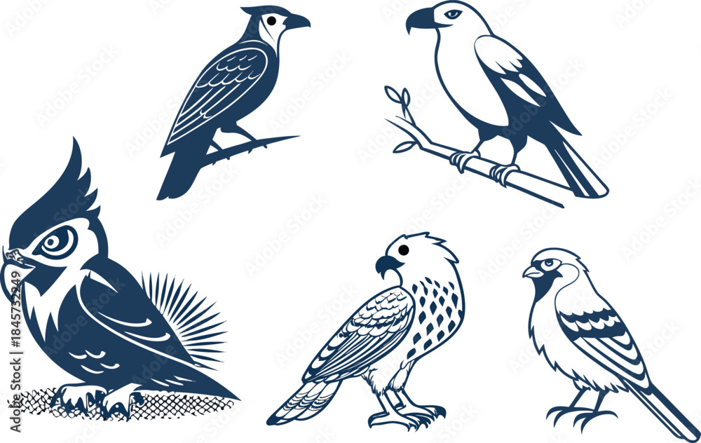 Obraz premium bird nature