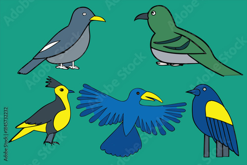 bird species