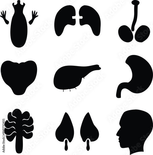 Collection of Black Human Organ Silhouettes human organs