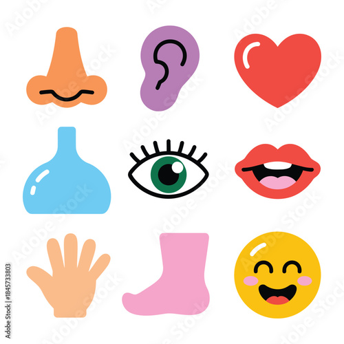 Human senses and body parts icon set including nose ear eye hand heart anatomy flat vector illustration collection