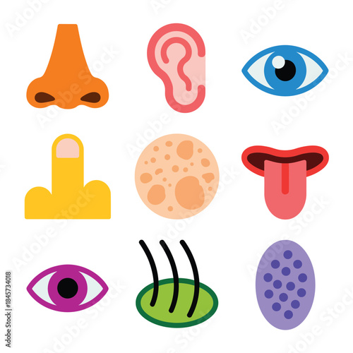 Body senses and facial feature icons set including vision hearing smell taste touch flat vector design collection