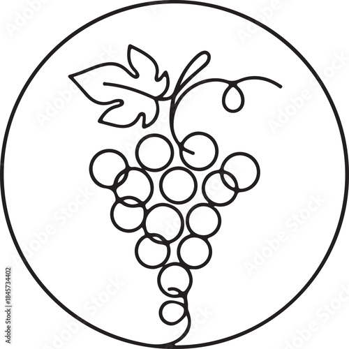 Fresh Grape Cluster Line Art Orchard Farming Brand Illustration