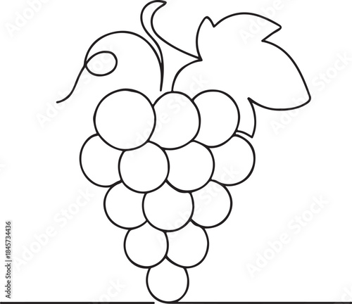 Organic Grape Vine Line Illustration Vineyard Fruit Logo Concept