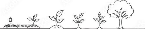 Tree Planting Growth Stages Line Infographic Gardening Concept