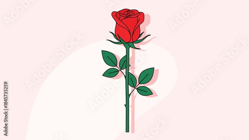 A single vector illustration of a pink rose with green leaf and stem is isolated as a beautiful object of nature and love