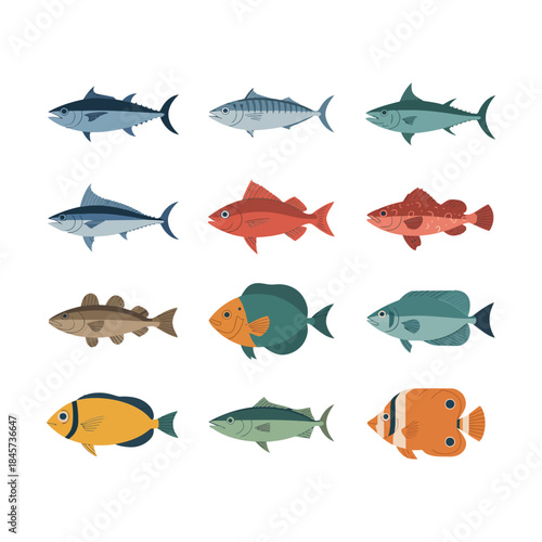 Freshwater and ocean fish illustration set with diverse swimming species profiles flat vector design elements for marine education graphics