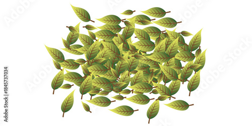 Vibrant green cardamom pods aromatic spice with textured shells scattered from above culinary ingredient.
