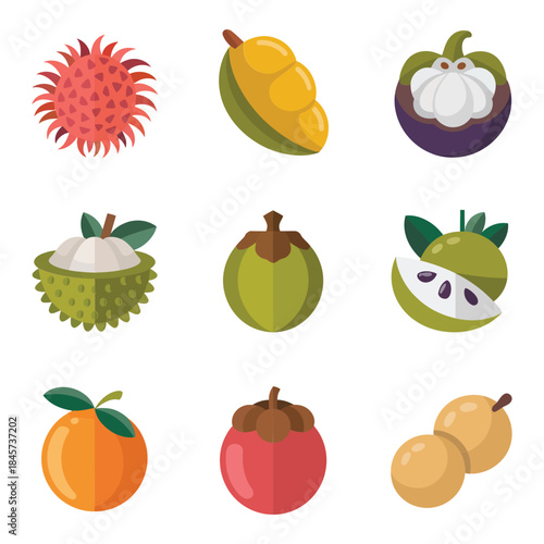 Fresh garden vegetable illustration set including pumpkin cucumber squash watermelon and melon flat vector assets for healthy food graphics