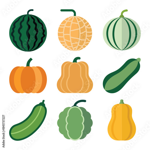 Root vegetable illustration set with carrot beet radish turnip and ginger natural flat vector design elements for organic food concepts