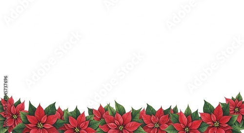 Beautiful Red Poinsettia Flowers Border Festive Christmas Decoration.