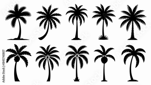 Set of Black Silhouette Palm Trees in Various Styles