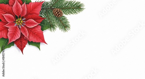 Vibrant Red Poinsettia Flower with Evergreen Pine Sprig and Cone on White Background.
