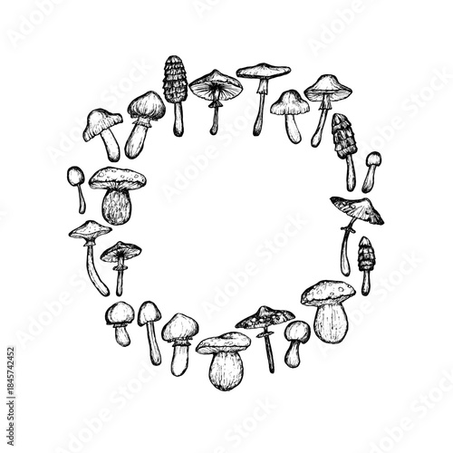 Round frame of hand-drawn mushrooms. Vector doodle illustration. Black and white hand-drawn mushrooms isolated on a white background.