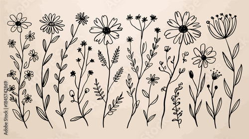 Black and White Line Art Wildflowers Illustration