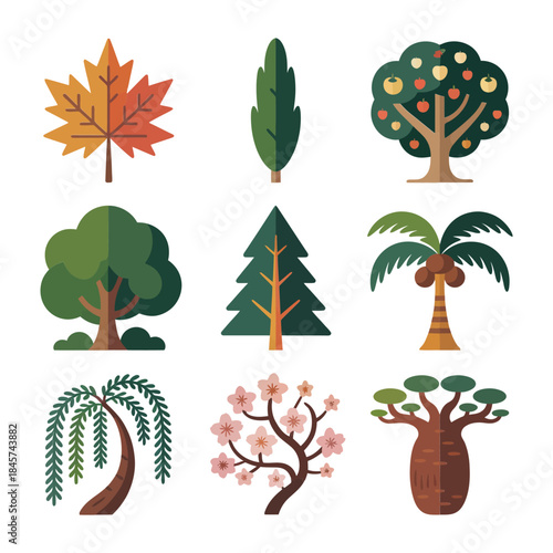 Autumn and tropical tree illustration set with maple pine palm baobab seasonal forest elements flat vector design collection