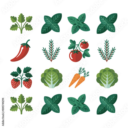 Herb and vegetable leaf illustration set with basil mint tomato chili carrot garden flat vector design collection