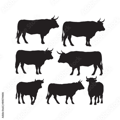 OX Silhouettes Collection,Ox Silhouettes,Vector Ox Silhouettes,Farm Ox Silhouettes,ox vector