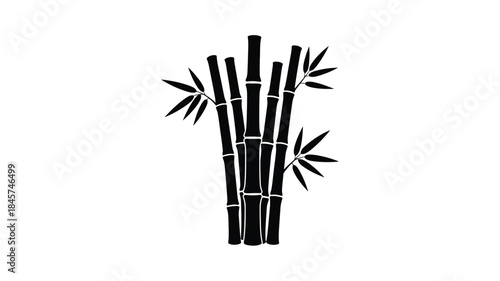 A striking black and white illustration of bamboo stalks a bold silhouette
