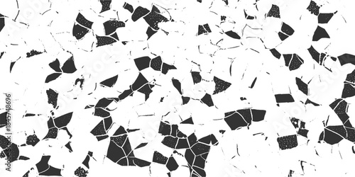 Abstract black and white cracked pattern with irregular geometric shapes and fine lines creating a textured surface