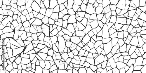 Black and white abstract pattern of irregular polygonal shapes resembling cracked earth or shattered glass