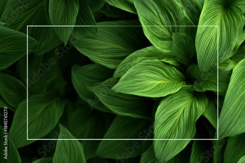 Lush Green Leaf Background with Subtle Frame for Creative Design, Nature-Themed Projects and Clean Aesthetic Displays