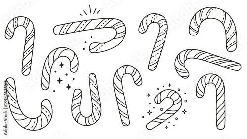 Hand-drawn doodle sketch vector illustration set of a black snake animal symbol and floral decoration elements