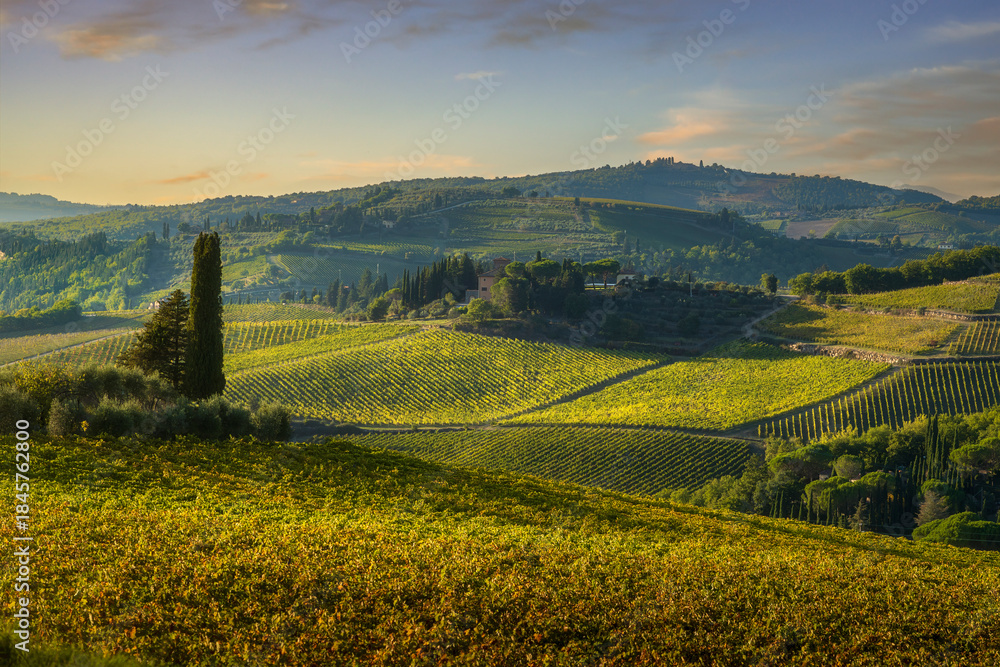 Fototapeta premium Autumn Chianti Vineyards and Villa near Panzano, Tuscany, Italy