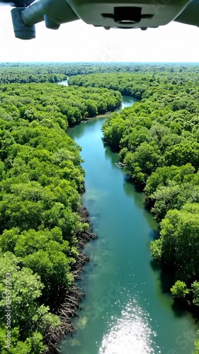 Drone Flying Over Green Tropical River Surrounded by Trees, Aerial View