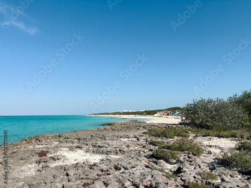 Rocky Coastline and Turquoise Sea Landscape