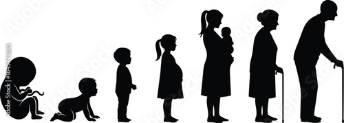 Silhouettes Illustrating Human Life Stages from Fetus to Elderly Person Keywords: life, stages, human, development, growth