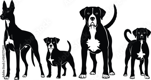 Silhouettes of Four Different Dog Breeds on White Background untitled vector