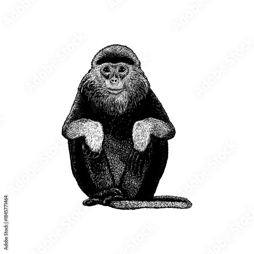 Douc langur, showcasing its distinctive facial features and calm sitting posture. This artistic wildlife depiction highlights the elegance and uniqueness of an exotic primate.