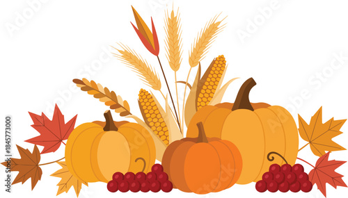 Autumn harvest composition with pumpkins corn wheat and berries on transparent background for thanksgiving celebration design