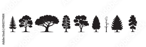 Nine unique black silhouettes of various tree types including spruce oak and slender forms for landscape design