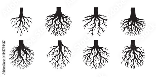 Collection tree root systems black silhouettes showing deep underground structure for biological science diagrams