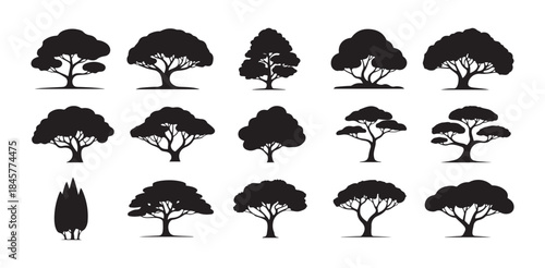 Fifteen stylized black silhouette icons depicting different shapes and profiles of mature trees in full leaf against white