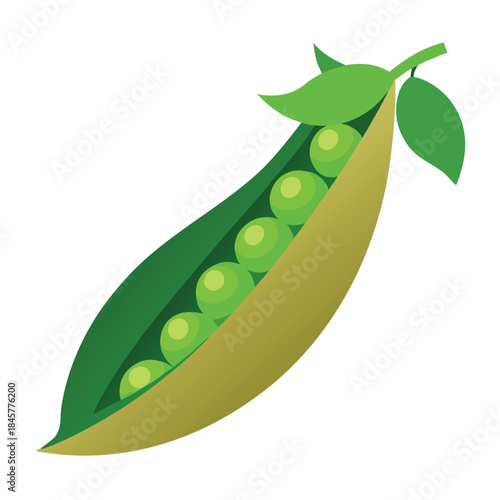green pea pod