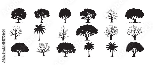 Large compilation of twenty distinct tree silhouettes featuring tropical bare and full canopy forms for design