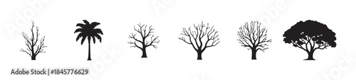 Set of six various tree silhouettes illustrating deciduous bare branch and large canopy forms in vector