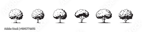 Six stylized black and white illustrations showcasing various dense crown shapes of broadleaf trees suitable for design