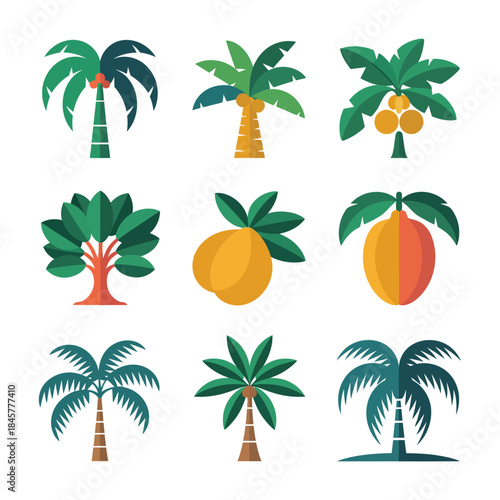 Palm tree and fruit icon collection, tropical plants coconut banana symbols, summer nature theme, colorful flat vector illustration set