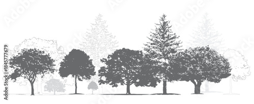 Architectural CAD Tree Elevation Vectors – Black and White Side View Line Art Bundle