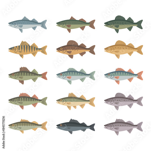 Realistic freshwater fish icon set featuring river lake species natural colors flat vector illustration collection for fishing education
