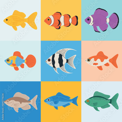 Colorful fish illustration grid featuring assorted aquarium species balanced layout flat vector assets for modern graphic design use