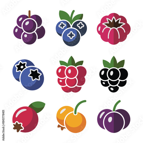 Berry fruit icon set, blueberry raspberry blackberry currant strawberry symbols, fresh organic food collection, healthy nutrition, colorful flat vector illustration