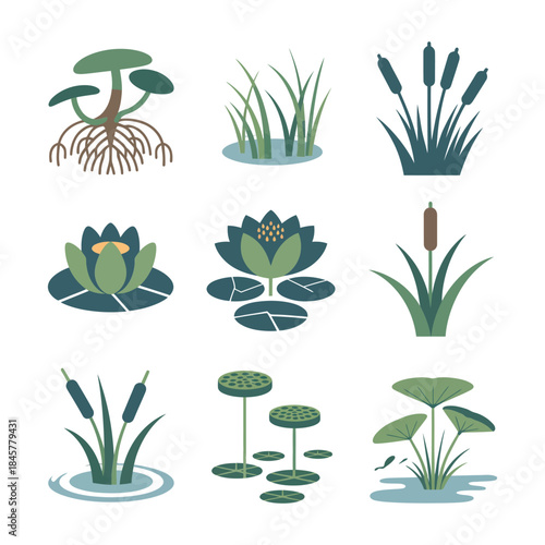 Wetland aquatic plant illustration set with lotus lily pads reeds cattails pond vegetation flat vector design collection