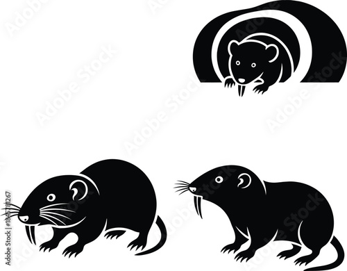 Vector silhouette illustration set of wild rat or mice in various poses, including an aggressive one with open mouth, pest animal emblem collection.